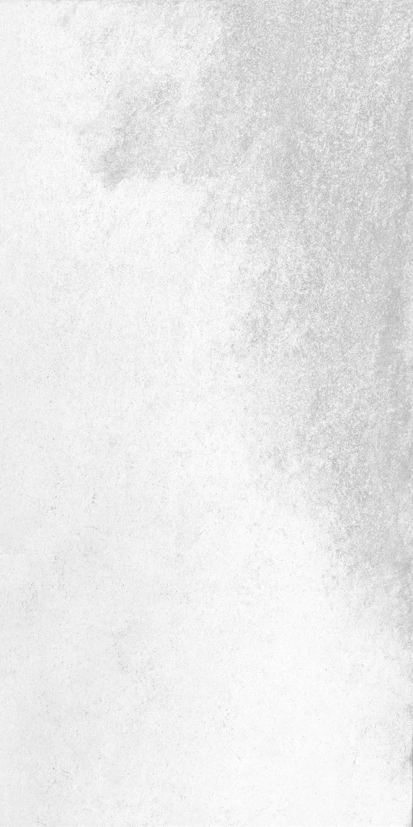 face 31